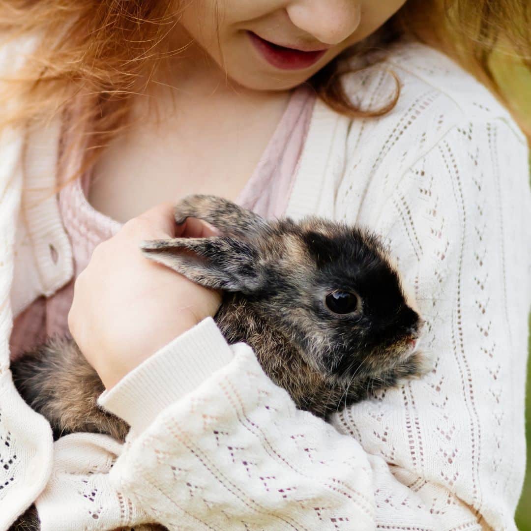 A girl petting a small rabbit